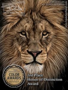 Calgary Local Photographer Brad Allen Receives 3rd Place Honor Of Distinction Award From The 11th Annual International Color Awards